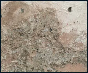 Boca Raton Emergency Restoration Boca Raton, FL 561-288-2566 - water-damage-side